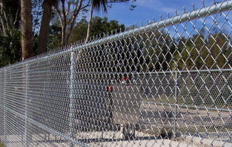 Cyclone Fence